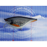 JWLures Roach Runner High Float